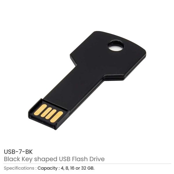 Key shaped USB Flash Drives Black
