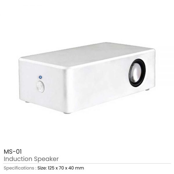 Induction Speakers