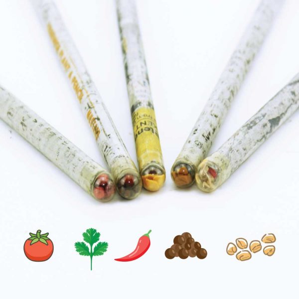 Plantable Seeds Pencils