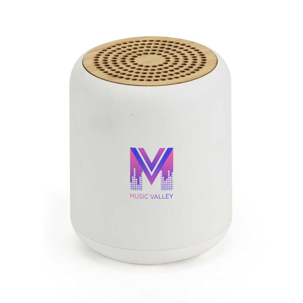 Branding-Bluetooth-Speaker-SPK-BM4-WHT.jpg